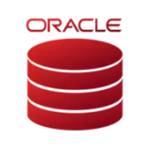 Oracle DB Built by: NotifyVisitors